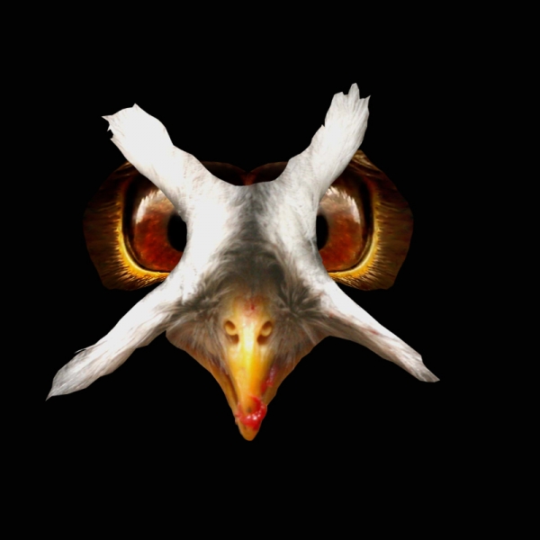 Creation of Norel: Step 2